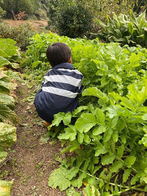 田舎の畑　リノベ京都