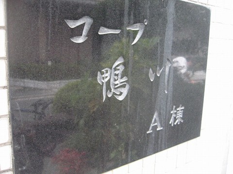 IMG_1581.jpg