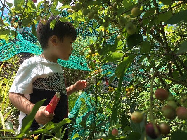 リノベーション　京都　夏休み1