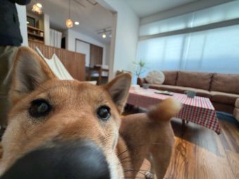 京都で水回りリフォーム，キッチンリフォーム，お風呂のリフォームなら京都で人気リフォーム会社の株式会社サインにお任せください。