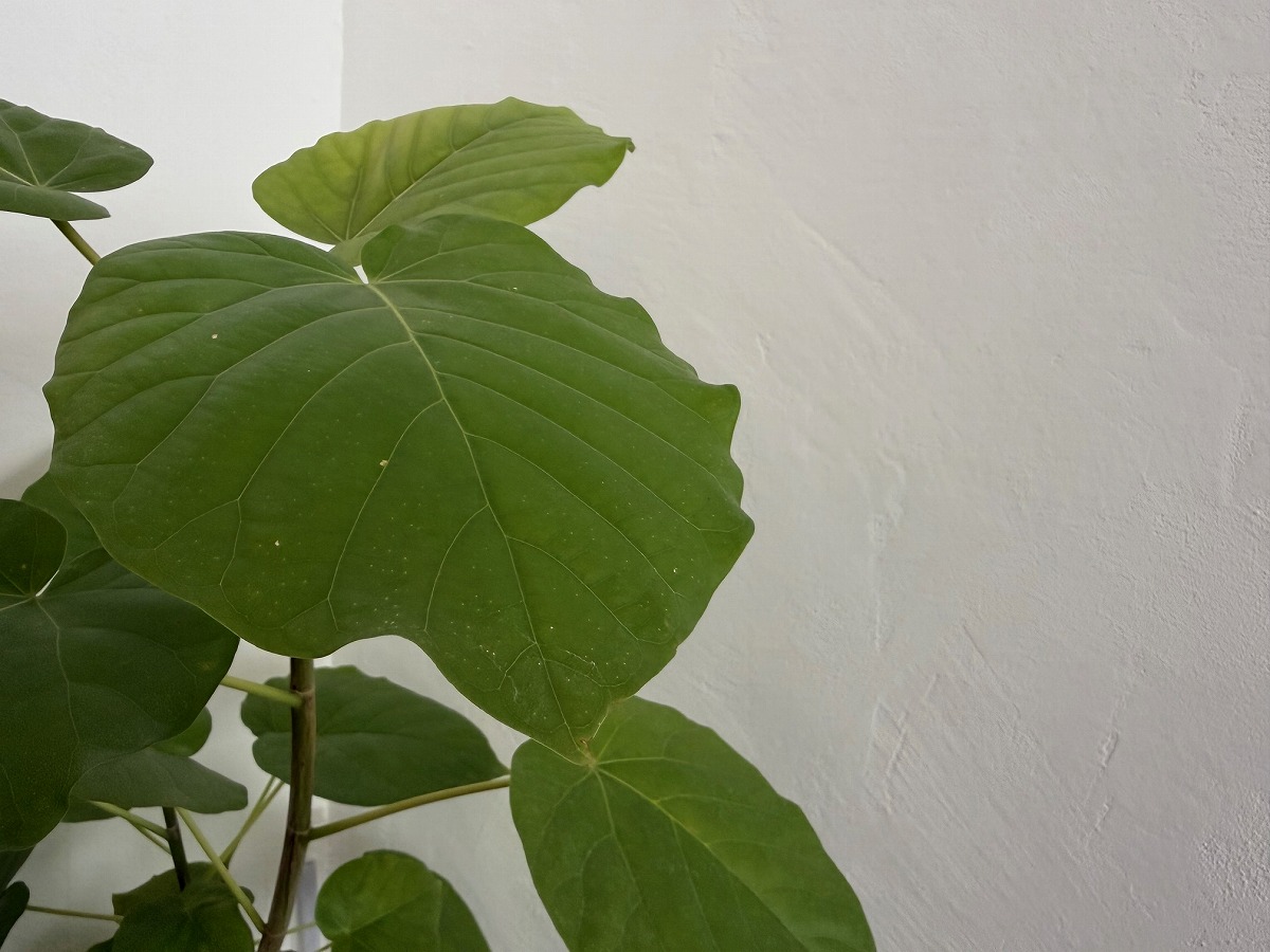 京都で水回りリフォーム，キッチンリフォーム，お風呂のリフォームなら京都で人気リフォーム会社の株式会社サインにお任せください。