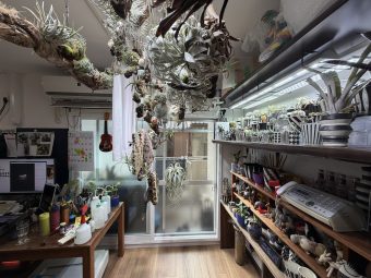 京都市中京区T様邸マンションリノベーション，マンションリフォーム京都，観葉植物のある暮らし，株式会社サイン