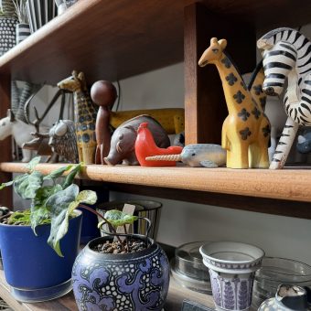 京都市中京区T様邸マンションリノベーション，マンションリフォーム京都1観葉植物，エアープランツが似合うお部屋づくり京都，株式会社サイン